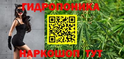 эйфоретик Ачхой-Мартан