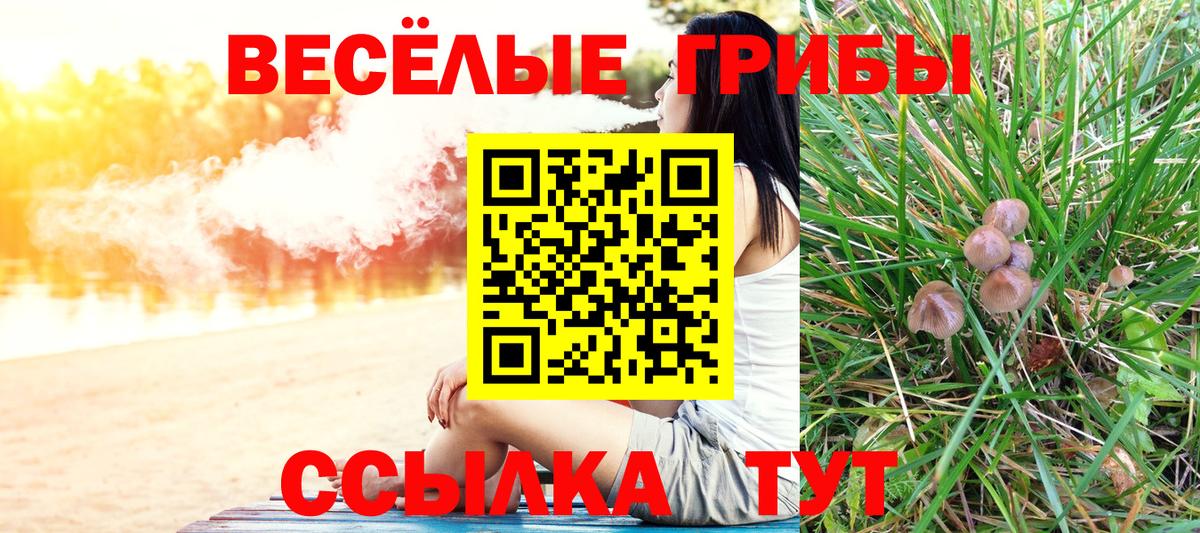 Галлюциногенные грибы ЛСД Гудермес